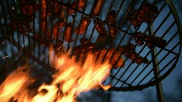 Polish Sausages and Meat Pieces in Flames video