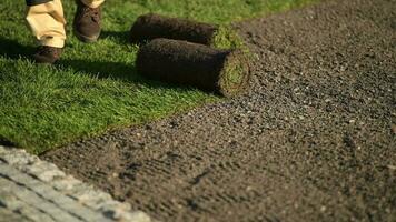 New Turf Grass Installation by Professional Gardener. Rolls of Grass on the Backyard. video