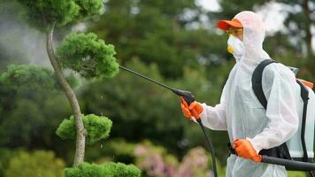 professionnel jardinier fongicide jardin les plantes video