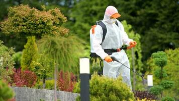 jardin les plantes insecticide video