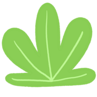 Cartoon cute leaf tropical element. png