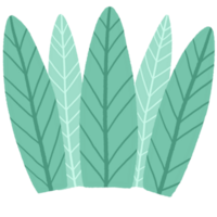 Cartoon cute leaf tropical element. png