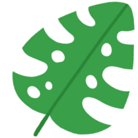 Cartoon cute leaf tropical element. png