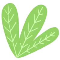 Cartoon cute leaf tropical element. png