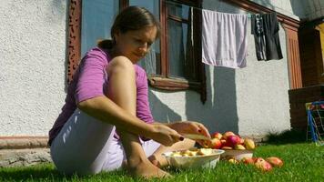 femme coupes pommes pour confiture Extérieur à ensoleillé l'automne journée video