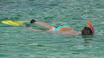 jovem mulher snorkeling perto a similan ilhas video