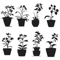 Beautiful Small Plants Silhouette Vector, Plants pot Vector, Plant silhouette set vector