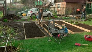 The family is engaged in gardening in the backyard of a country house, timelapse video