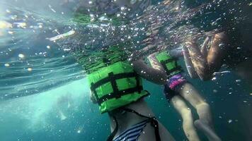 människor snorkel i de azurblå hav, thailand. underhållning och rekreation för turister i de tropikerna video