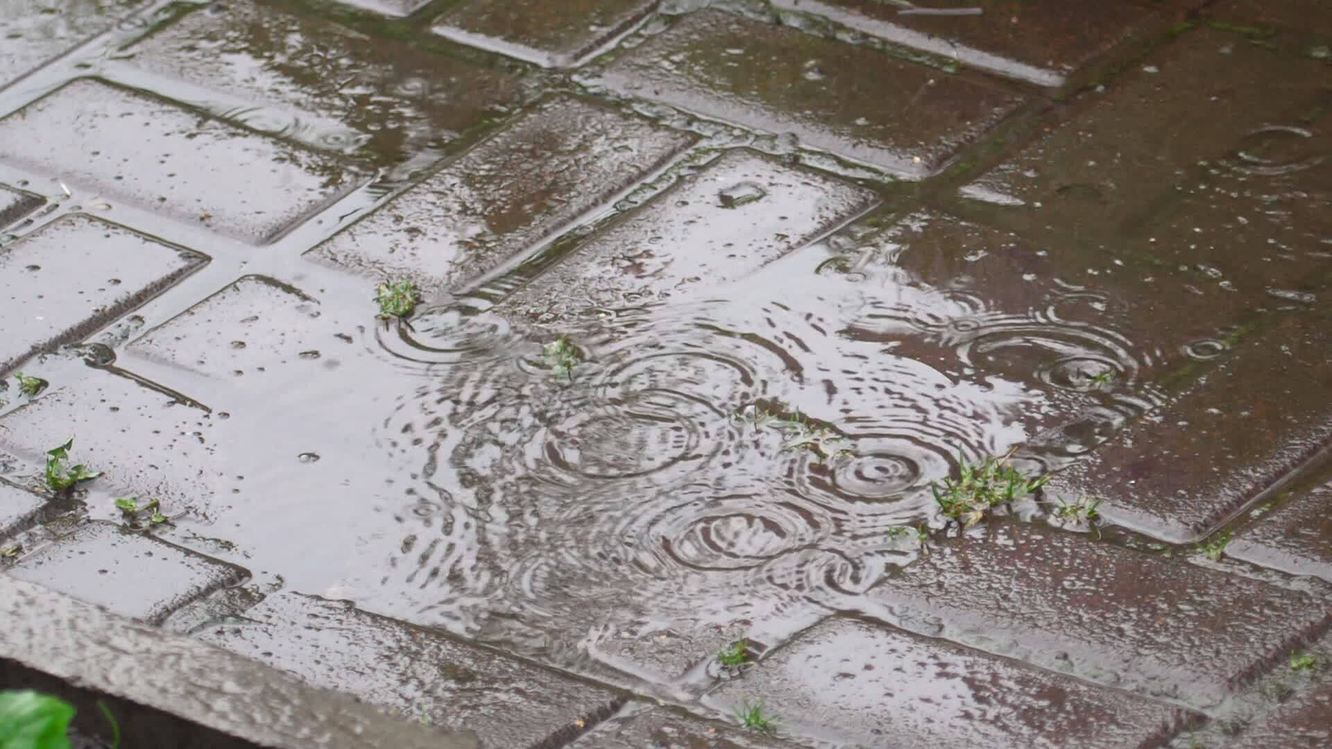 Falling raindrops into puddle, slow motion 24700295 Stock Video at Vecteezy