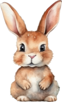 Rabbit Watercolor Illustration. png