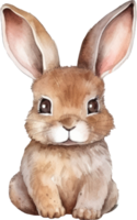 Hase Aquarell Illustration. ai generiert png