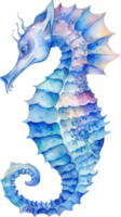 Seahorse Watercolor Illustration AI Generated png