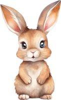 Hase Aquarell Illustration. ai generiert png