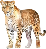 léopard aquarelle illustration. ai généré png