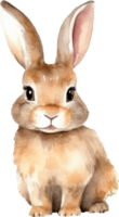 lapin aquarelle illustration. ai généré png