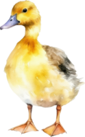 Cute Baby Duck Watercolor AI Generated png