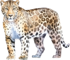 leopardo acquerello illustrazione. ai generato png