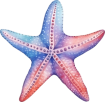 sjöstjärna vattenfärg illustration ai genererad png