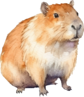 schattig capibara waterverf illustratie. ai gegenereerd png