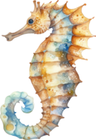 hippocampe aquarelle illustration ai généré png