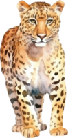 leopardo aguarela ilustração. ai gerado png
