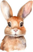 Hase Aquarell Illustration. ai generiert png