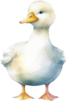 Cute Baby Duck Watercolor AI Generated png