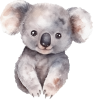 Cute Baby Koala Watercolor AI Generated png