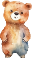 Cute Brown Bear Watercolor Illustration. png