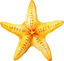 estrella de mar acuarela ilustración ai generado png