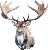 caribou rådjur vattenfärg illustration. ai genererad png