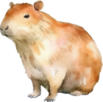 mignonne capybara aquarelle illustration. ai généré png