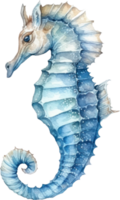 hippocampe aquarelle illustration ai généré png