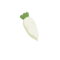 blanc un radis avec un radis feuilles png