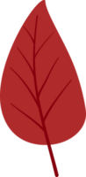 autumn leaves elements png