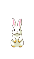 Ostern Ei Hase Kaninchen, süß Karikatur Illustration, transparent Hintergrund, generativ ai, Digital Illustration. png