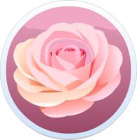 Rosa flor. generativo ai png