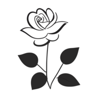 Rose flower. aesthetic png