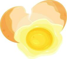 color vector illustration of a broken egg, proper nutrition, fried eggs, chicken egg, eggshell