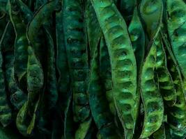 Group of petai or Parkia speciosa on display at  local indonesian market. Petai background photo