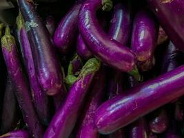 Group of purple eggplant on display at  local indonesian market. Purple eggplant background photo