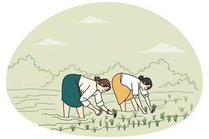 Women working on rice fields vector