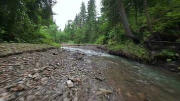 Smooth, rapid flight over a mountain river close to the water, among a dense forest. Mystical mountain landscape video