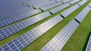 vlucht over- een veld- van zonne- panelen in zonnig zomer dag. ecologisch innovatie. video