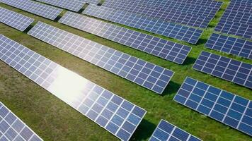 vlucht over- een veld- van zonne- panelen in zonnig zomer dag. ecologisch innovatie. video