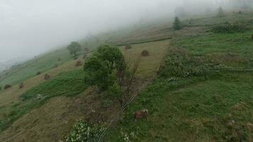 manövrerbar flyg i de morgon- dimma över en berg by på fpv Drönare video