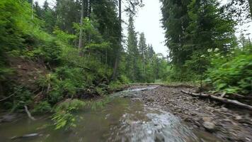 Smooth, rapid flight over a mountain river close to the water, among a dense forest. Mystical mountain landscape video