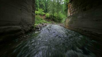 liscio, rapido volo al di sopra di un' montagna fiume vicino per il acqua, tra un' denso foresta. mistico montagna paesaggio video