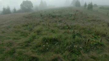wendig Flug im das Morgen Nebel Über ein Berg Dorf auf fpv Drohne video